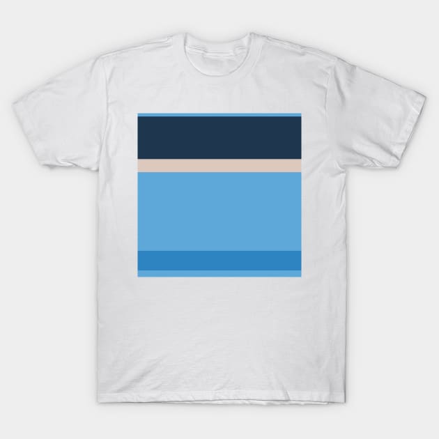 A great alliance of Silver, Space Cadet, Carolina Blue and Windows Blue stripes. T-Shirt by Sociable Stripes